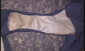 A Collection Of My Wife's Dirty Panties